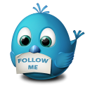 Twitter Follow Me Icon